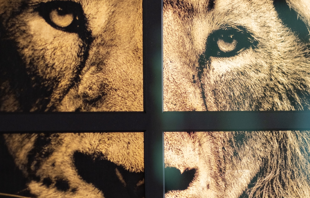 Jean-Philippe Rigotti