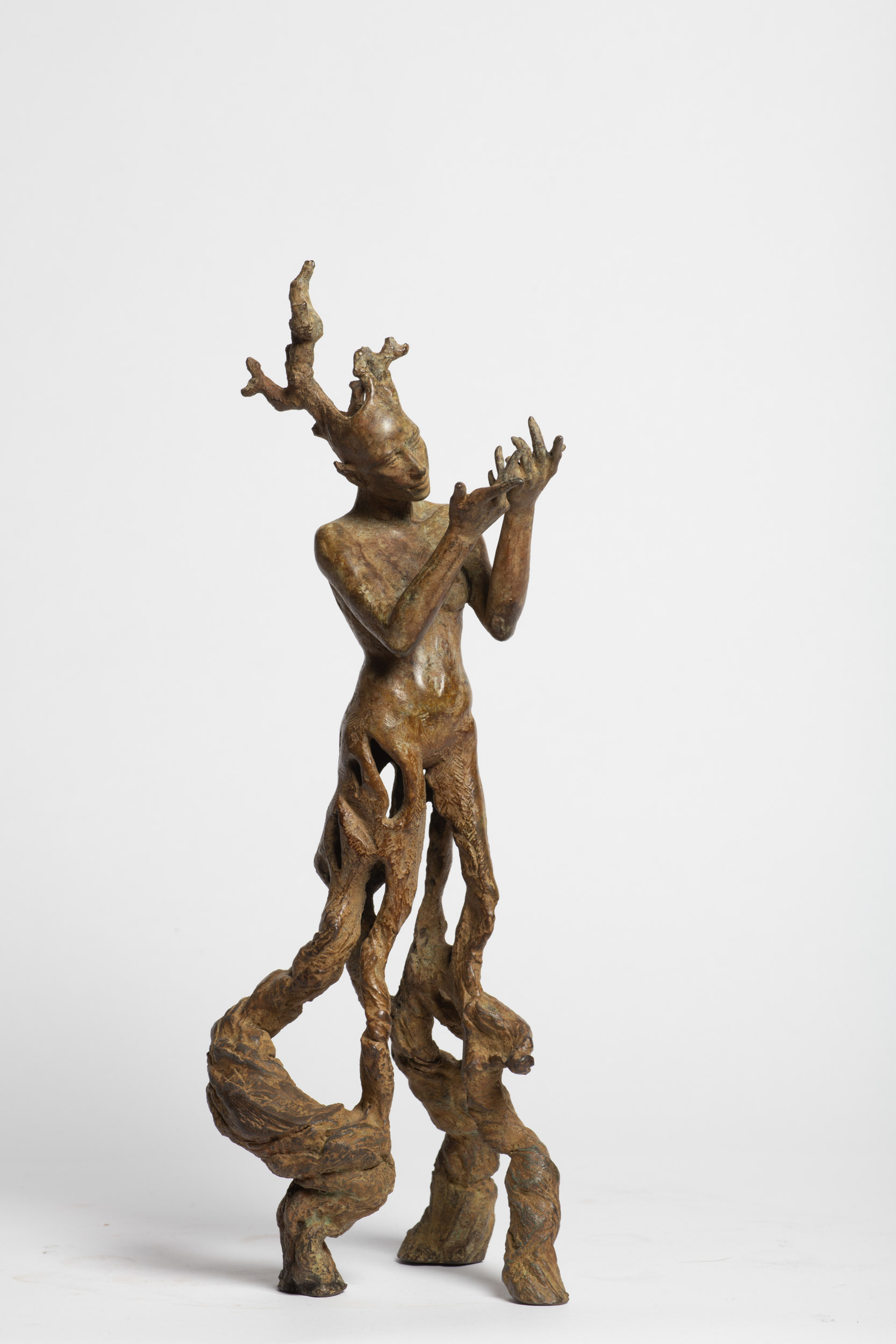 « Vigne céleste »