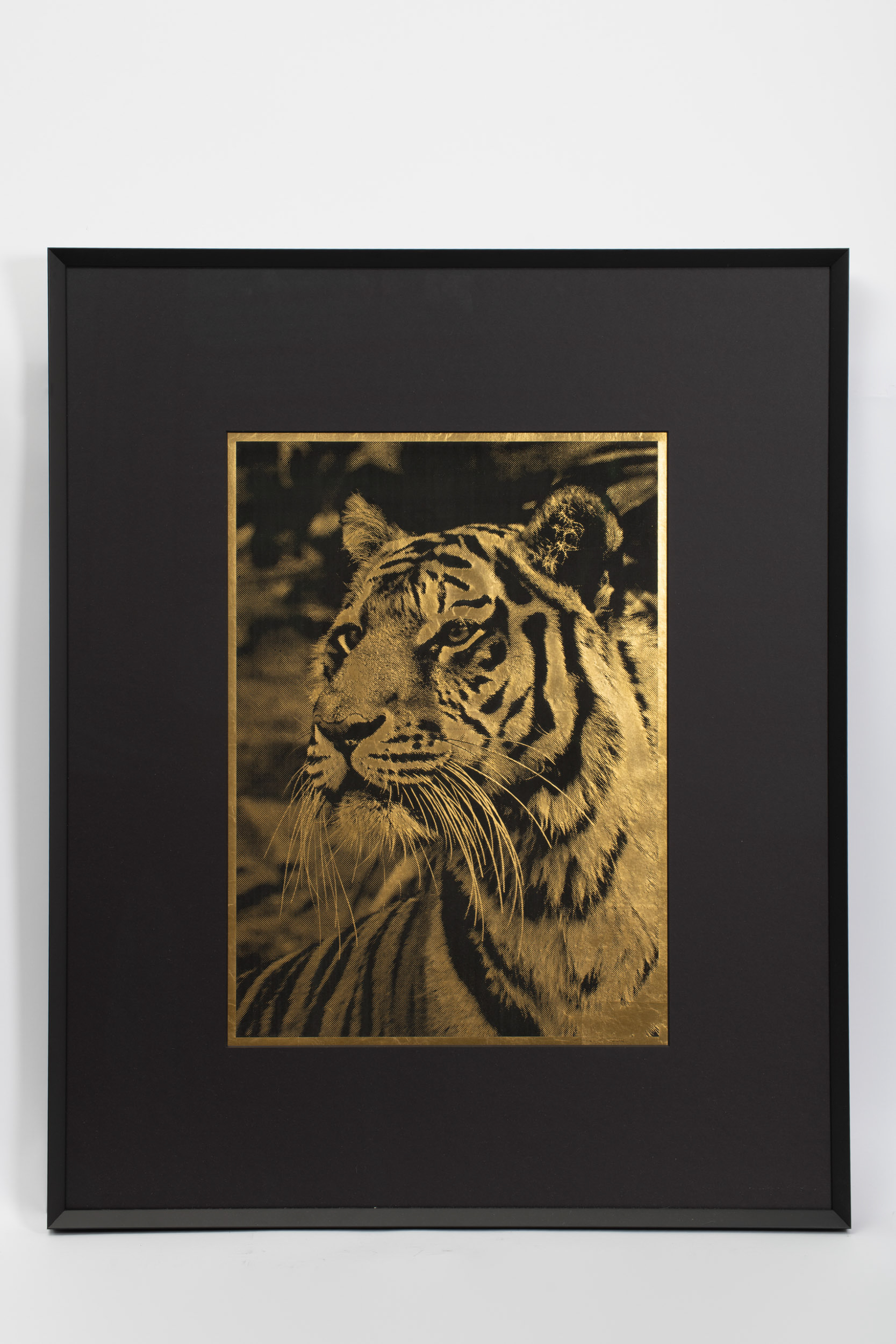 « Majestic » Tigre