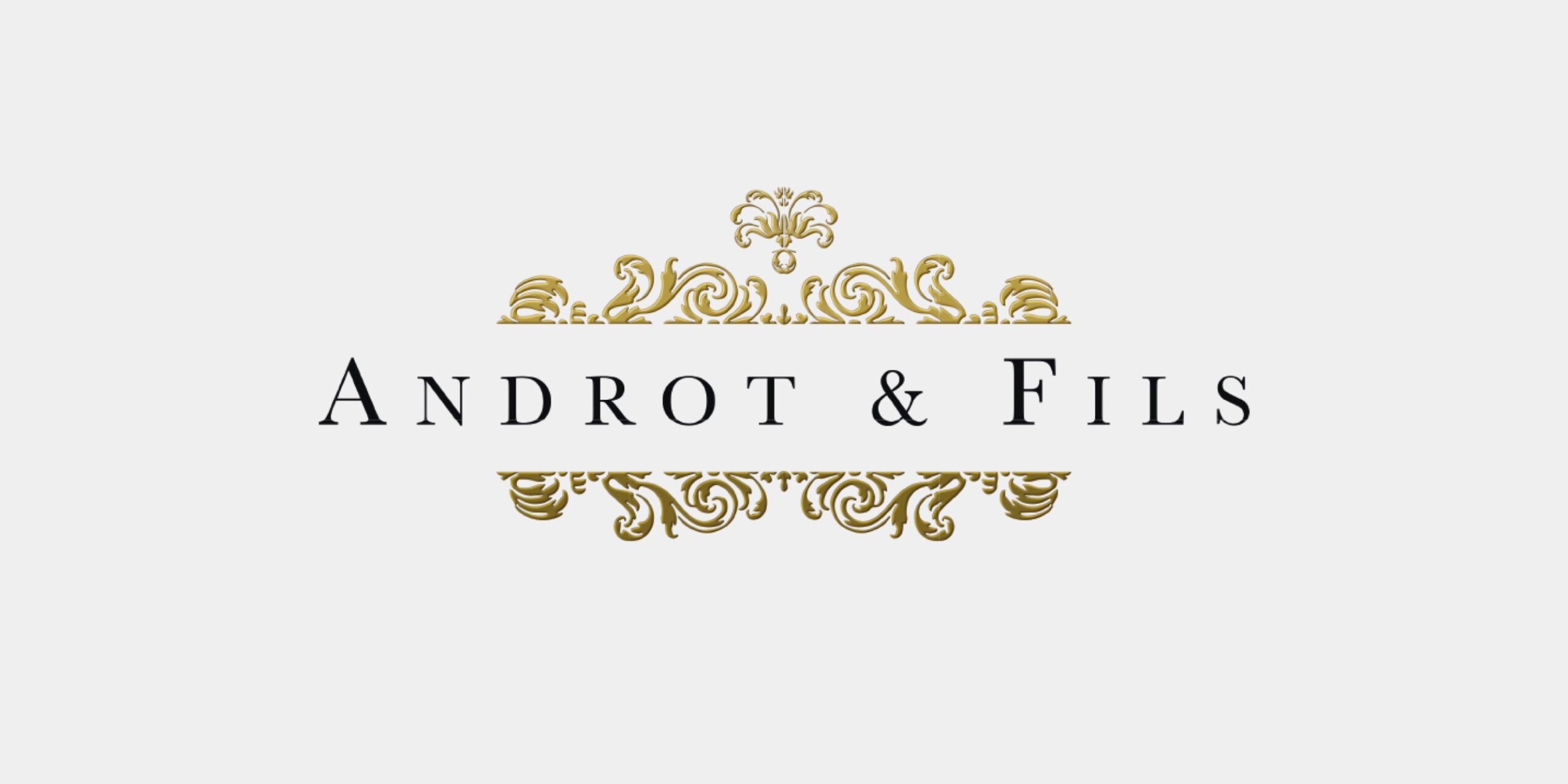 Galerie Androt & Fils : un nouveau site pour prolonger un regard
